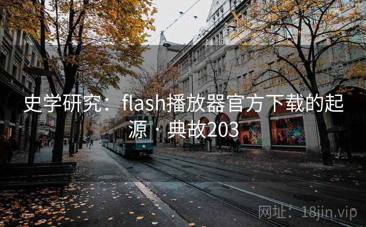 史学研究：flash播放器官方下载的起源 · 典故203  第2张