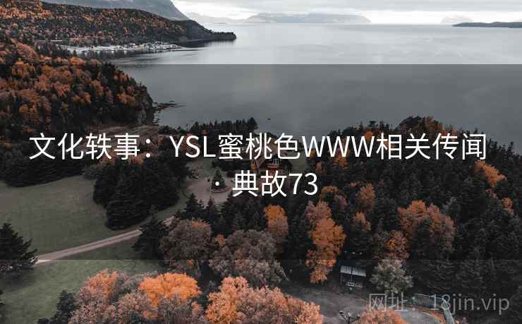 文化轶事：YSL蜜桃色WWW相关传闻 · 典故73