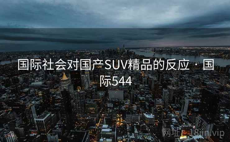 国际社会对国产SUV精品的反应 · 国际544